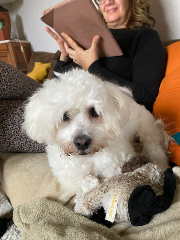 Photo de samy