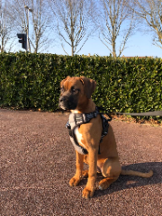 Lüna