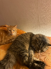 Photo de June