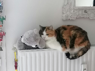 Loupette