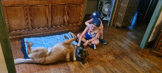 Photo de Jedi de l'Orée de Biliaire