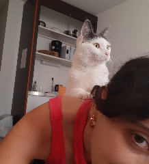Maxou Maximus