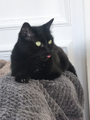 Pouppy