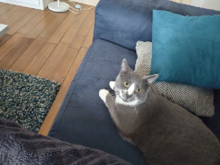 Photo de Titan