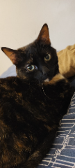 Keira