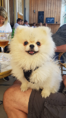 Photo de Snow
