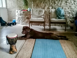 Photo de Pavlov