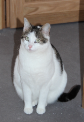 Photo de Canelle