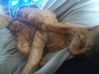 Escanor