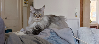 Freya