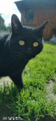 Lucifer