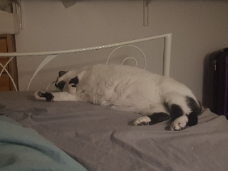 Pili