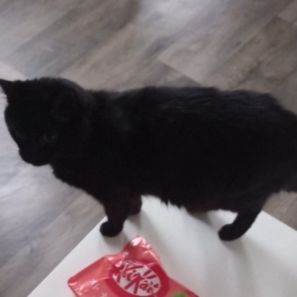 Mimi