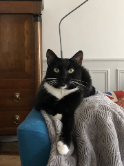 Luna