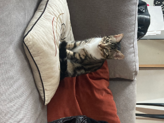 Rémy