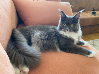 Photo de Mimi