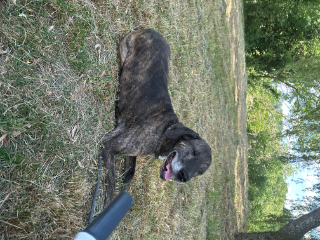 Zeus