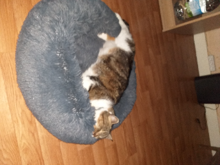 Photo de gribouiille