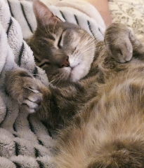 Mimi