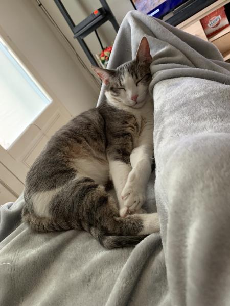 Naps