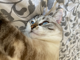 Photo de Mimi