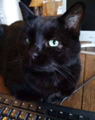 ONYX