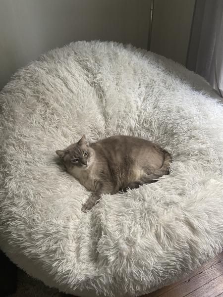 Mimi