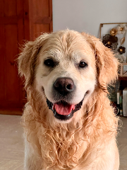 Neal