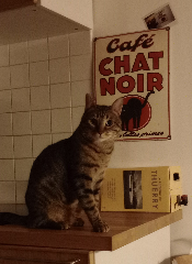 Whisky