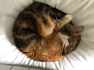 YZI