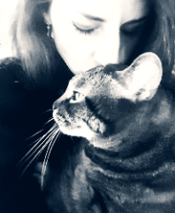 Photo de GIBS erreur dans les dates demandé : 29/07 au 8/08