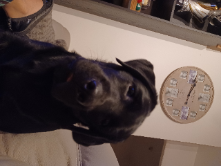 BLACKBALL