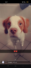 Tex