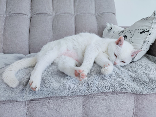 Casper