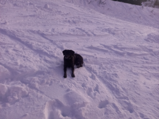 Photo de Craquinette