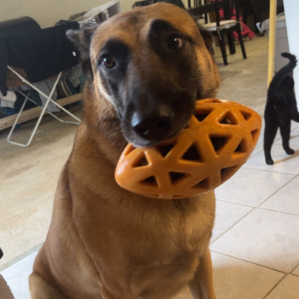 Ubby