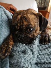 Photo de Lilou