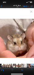 Pêche