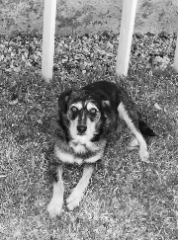 Bella