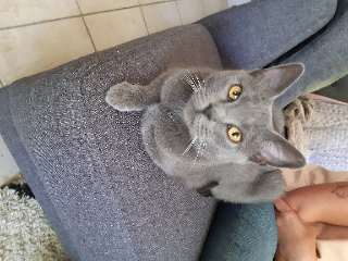 Photo de Jolie Fleur