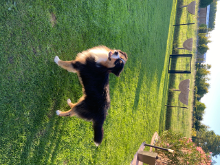 Photo de TAiKO