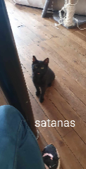 Satanas