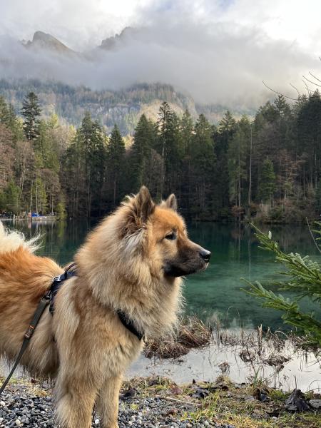 Presko