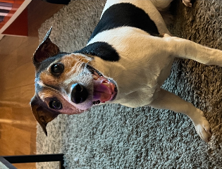 Nala