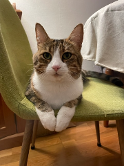 Photo de Quincy