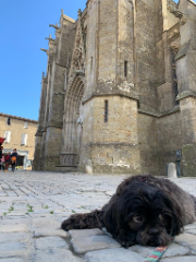 Sueca