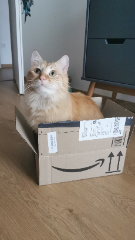 Titou