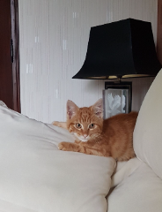 Photo de Pot de colle