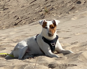 Photo de Roy, dit petit chou