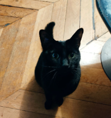 Lucifer